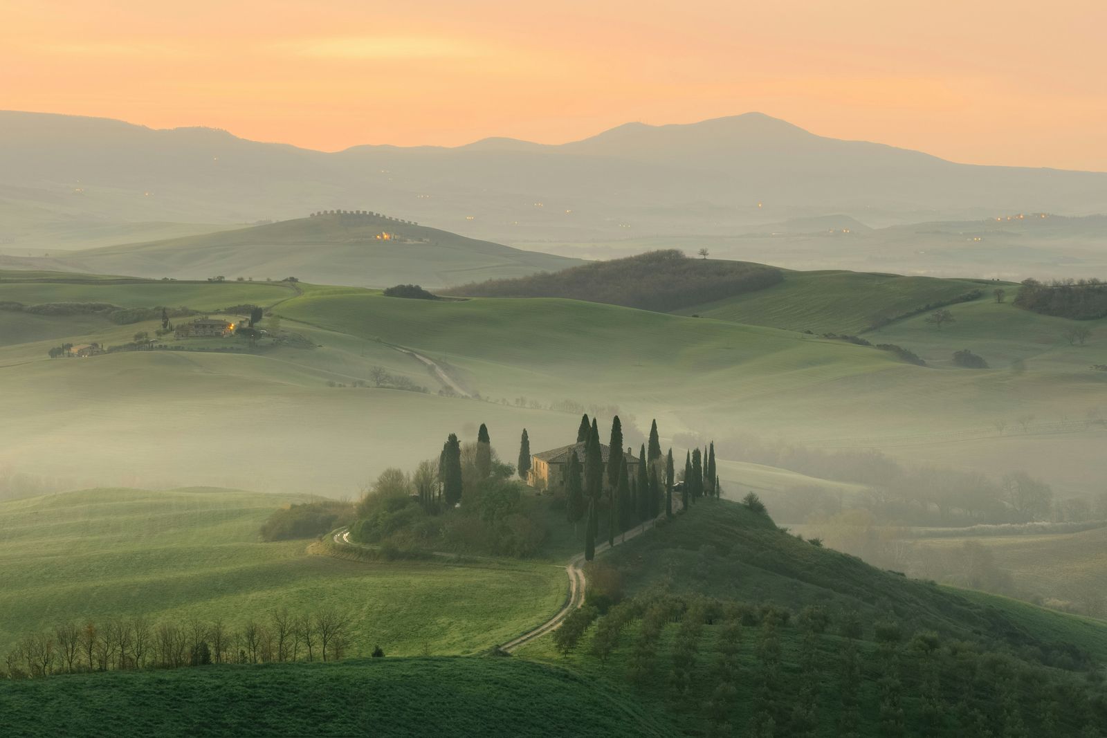 Rolling Tuscan hills and cypress trees in soft morning mist.